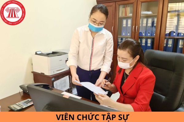 Viên chức tập sự được nhận mức lương như thế nào?