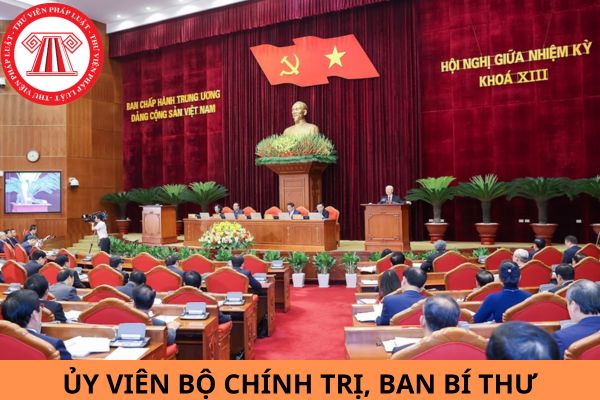 Uỷ viên Bộ Chính trị, Ban bí thư có tiêu chuẩn cụ thể nào?