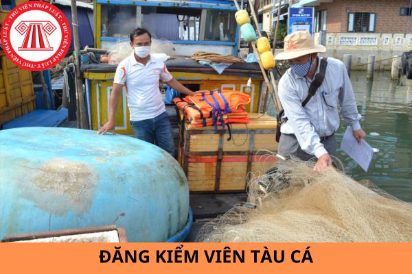 Đăng kiểm viên tàu cá bị thu hồi thẻ đăng kiểm viên trong các trường hợp nào?