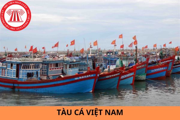Tàu cá Việt Nam được khai thác thuỷ sản tại những vùng nào?
