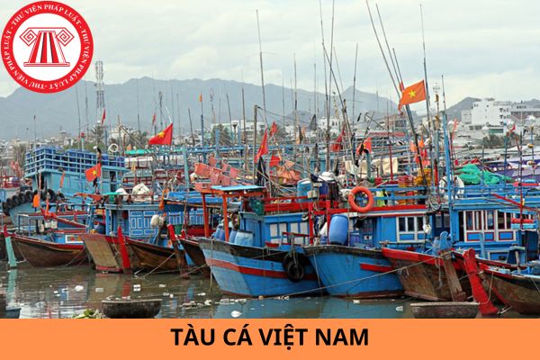 Mức xử phạt đối với hành vi không treo quốc kỳ nước Cộng hòa xã hội chủ nghĩa Việt Nam trên tàu cá là bao nhiêu?