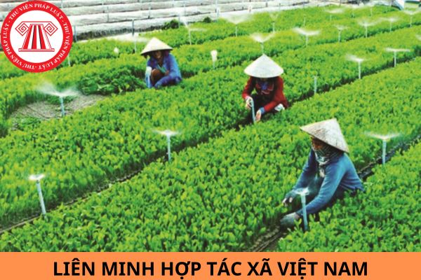 Liên minh Hợp tác xã Việt Nam hoạt động dựa trên nguyên tắc nào?