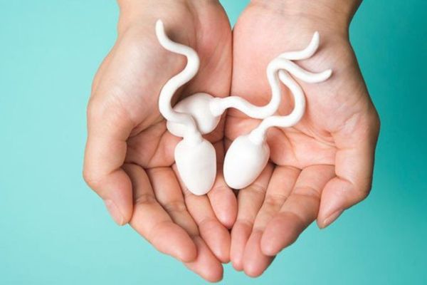 Có thể sử dụng tinh trùng được hiến để thụ tinh cho nhiều người không?