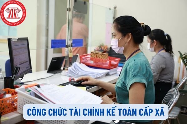 Từ 01/8/2023, công chức tài chính kế toán cấp xã phải đáp ứng các tiêu chuẩn nào?