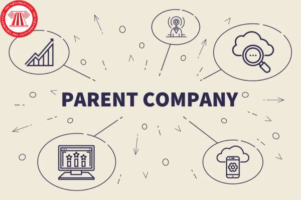 Một công ty được coi là công ty mẹ nếu thuộc các trường hợp nào?