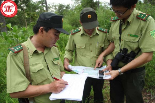 Kiểm lâm viên là gì?