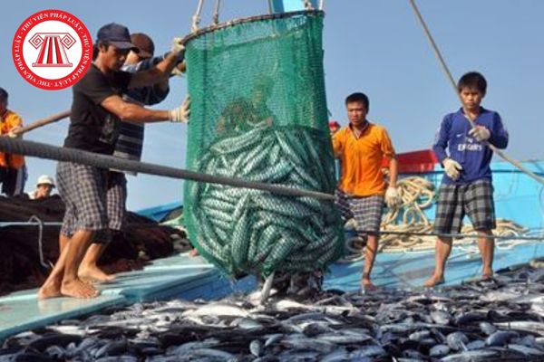 Hồ sơ đăng ký cho ngư dân đánh bắt cá hải sản
