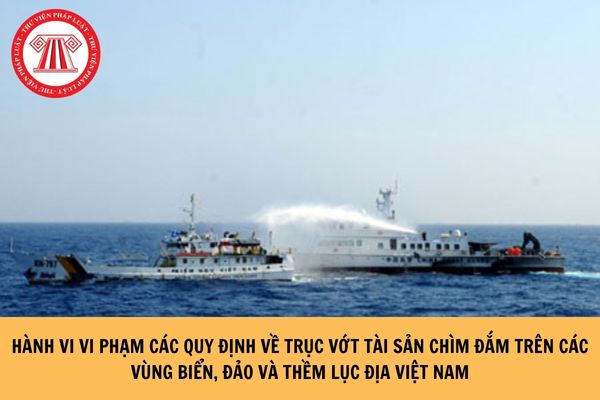 Thế nào là hành vi vi phạm các quy định về trục vớt tài sản chìm đắm trên các vùng biển, đảo và thềm lục địa Việt Nam?