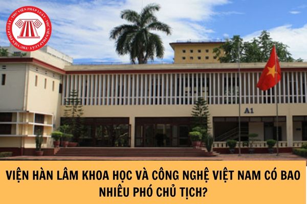 Viện Hàn lâm Khoa học và Công nghệ Việt Nam có bao nhiêu Phó Chủ tịch?
