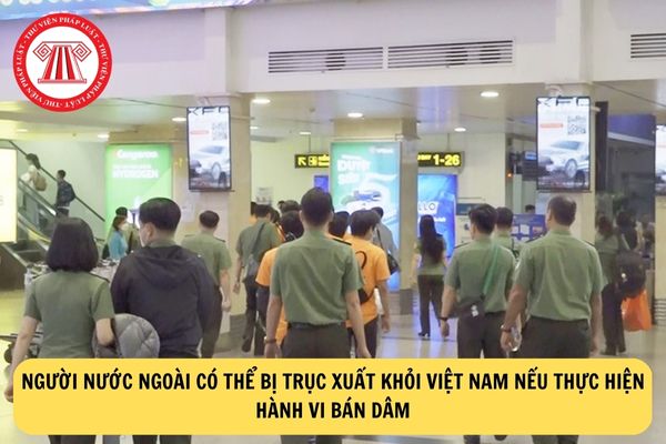 Người nước ngoài có thể bị trục xuất khỏi Việt Nam nếu thực hiện hành vi bán dâm?