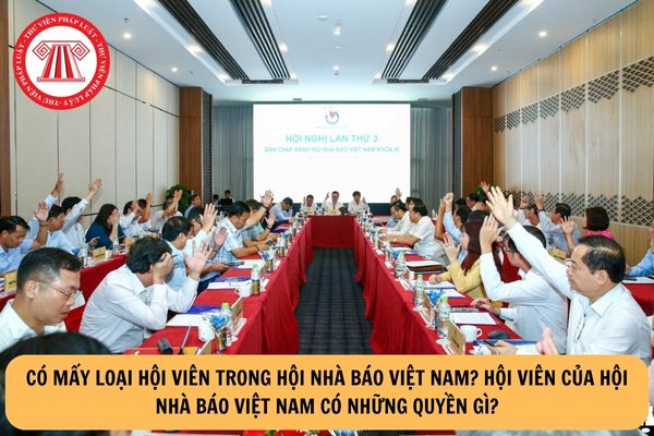 Có mấy loại hội viên trong Hội Nhà báo Việt Nam? 