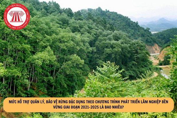 Mức hỗ trợ quản lý, bảo vệ rừng đặc dụng theo Chương trình Phát triển lâm nghiệp bền vững giai đoạn 2021-2025 là bao nhiêu?