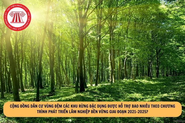Cộng đồng dân cư vùng đệm các khu rừng đặc dụng được hỗ trợ bao nhiêu theo Chương trình Phát triển lâm nghiệp bền vững giai đoạn 2021-2025?