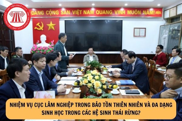 Nhiệm vụ Cục Lâm nghiệp trong bảo tồn thiên nhiên và đa dạng sinh học trong các hệ sinh thái rừng?