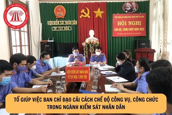 Ban Chỉ đạo cải cách chế độ công vụ, công chức trong ngành Kiểm sát nhân dân có những nhiệm vụ và quyền hạn gì?