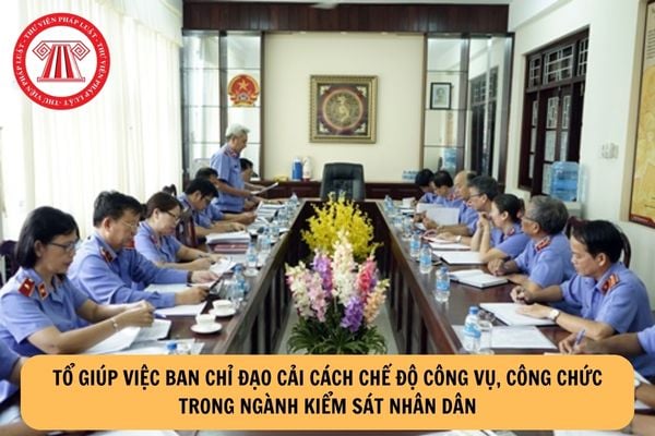 Tổ giúp việc Ban Chỉ đạo cải cách chế độ công vụ, công chức trong ngành Kiểm sát nhân dân thực hiện những nhiệm vụ gì?