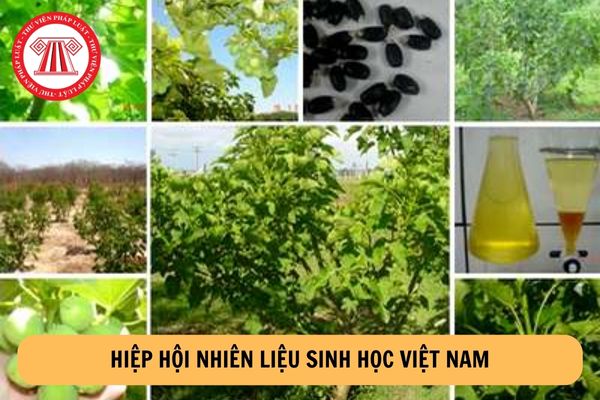 Hiệp hội Nhiên liệu sinh học Việt Nam thực hiện những nhiệm vụ gì?