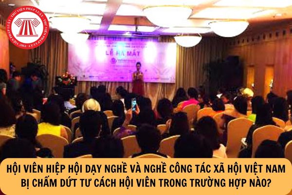 Hội viên Hiệp hội Dạy nghề và Nghề công tác xã hội Việt Nam bị chấm dứt tư cách hội viên trong trường hợp nào?