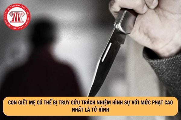 Con giết mẹ có thể bị truy cứu trách nhiệm hình sự với mức phạt cao nhất là tử hình?