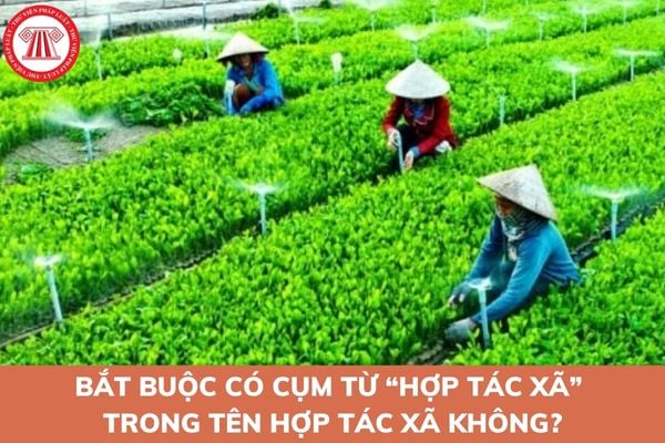 tên hợp tác xã