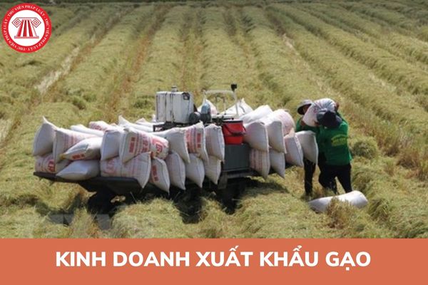 Trong việc kinh doanh xuất khẩu gạo Bộ Nông nghiệp và Phát triển nông thôn có trách nhiệm ra sao?