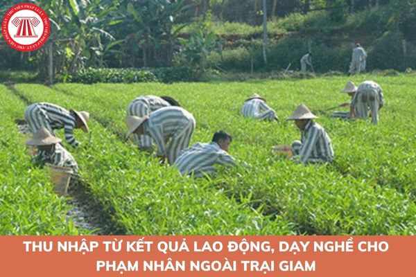 Thu nhập từ kết quả lao động, dạy nghề cho phạm nhân ngoài trại giam trong thời gian thí điểm của tổ chức hợp tác với trại giam có được miễn thuế TNDN không?