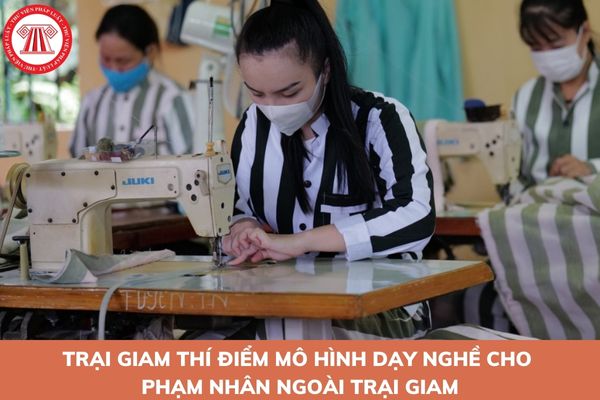 Trại giam thí điểm mô hình dạy nghề cho phạm nhân ngoài trại giam cần đáp ứng tiêu chí gì?