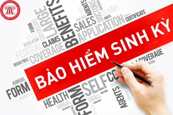 Bảo hiểm sinh kỳ là gì?