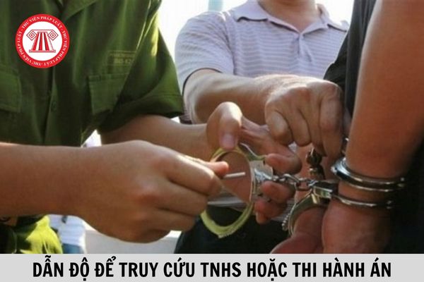 Như thế nào là dẫn độ để truy cứu trách nhiệm hình sự hoặc thi hành án? Các trường hợp Việt Nam từ chối dẫn độ cho người nước ngoài? 