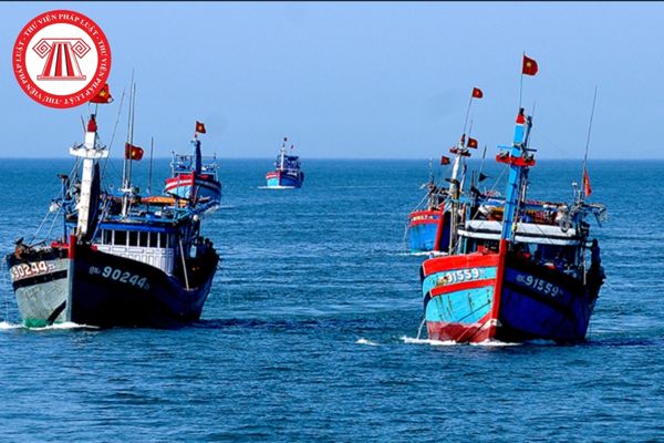 Sau khi chuyển đổi một số nghề khai thác hải sản bảo đảm 100% ngư dân có việc làm ổn định, thu nhập bảo đảm cuộc sống ? 