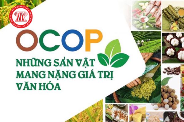 Nhãn hiệu chứng nhận Sản phẩm OCOP Việt Nam là gì? Tổ chức, cá nhân có cần phải xin phép khi sử dụng nhãn hiệu chứng nhận không? 