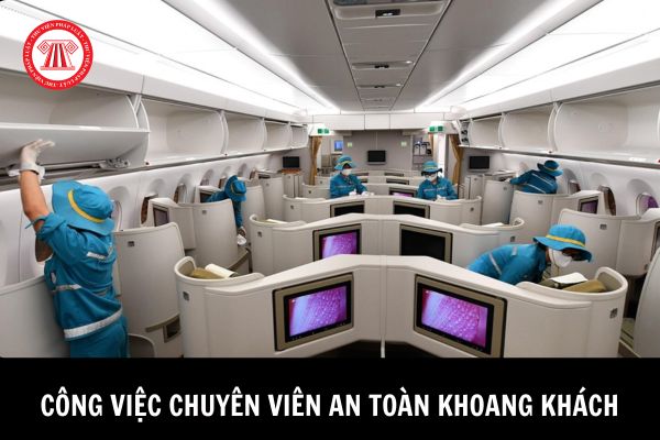 Chuyên viên an toàn khoang khách thuộc Cục Hàng không Việt Nam cần đáp ứng về trình độ và năng lực như thế nào? 