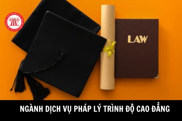 Yêu cầu về kiến thức đối với ngành dịch vụ pháp lý sau khi tốt nghiệp trình độ cao đẳng là gì? Những vị trí việc làm sau khi tốt nghiệp là gì? 