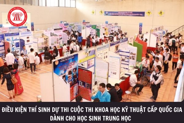 Thí sinh dự thi cuộc thi khoa học kỹ thuật cấp quốc gia cần đáp ứng điều kiện gì? Cuộc thi quy định những lĩnh vực nào?