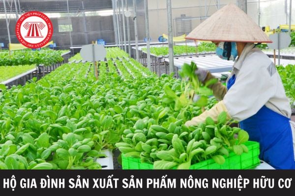 Một số chính sách hỗ trợ hộ gia đình sản xuất sản phẩm hữu cơ là gì? 