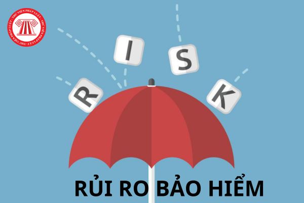 Như thế nào là rủi ro bảo hiểm? Báo cáo quản trị rủi ro của công ty bảo hiểm bao gồm những nội dung nào? 