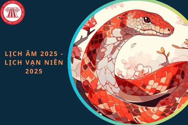 Lịch âm 2025 - Lịch vạn niên 2025: Chi tiết? Tết Âm lịch 2025 vào ngày nào? Còn mấy ngày nữa?