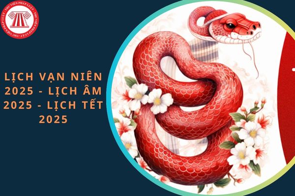 Lịch vạn niên 2025 - Lịch âm 2025 - Lịch Tết 2025: Chi tiết, đầy đủ, mới nhất cả năm 2025?