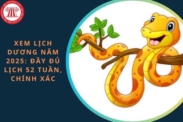 Xem lịch dương năm 2025: Đầy đủ lịch 52 tuần, chính xác, mới nhất? Năm 2025 là năm con gì? Tết 2025 vào tháng mấy dương lịch?