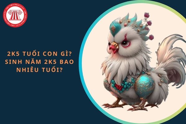 2k5 tuổi con gì? Sinh năm 2k5 bao nhiêu tuổi? Người sinh năm 2k5 đã có đầy đủ năng lực hành vi dân sự chưa?