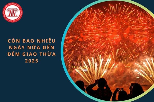 Còn bao nhiêu ngày nữa đến đêm giao thừa 2025? Tết Âm lịch 2025 được nghỉ ít nhất bao nhiêu ngày?