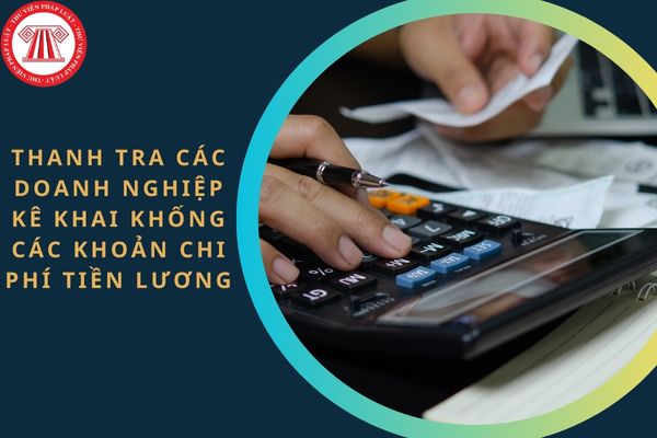 Thanh tra các doanh nghiệp kê khai khống các khoản chi phí tiền lương?