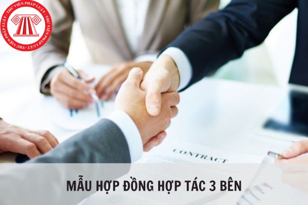 Mẫu hợp đồng hợp tác 3 bên chuẩn và mới nhất 2024?