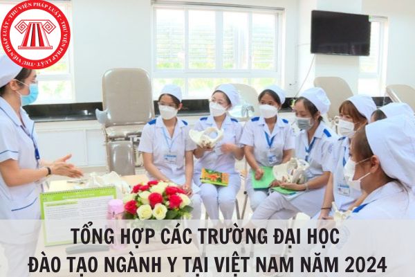 Tổng hợp các trường đại học đào tạo ngành Y tại Việt Nam năm 2024?