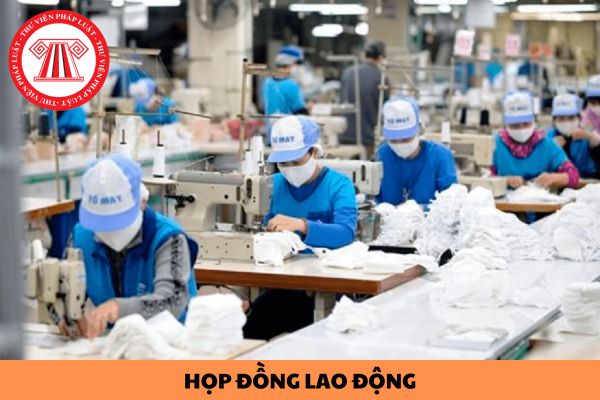 Hỏi đáp Pháp luật