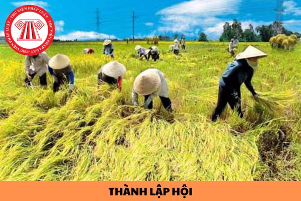 Điều kiện về số lượng công dân, tổ chức Việt Nam đăng ký tham gia thành lập hội nông nghiệp được quy định như thế nào?