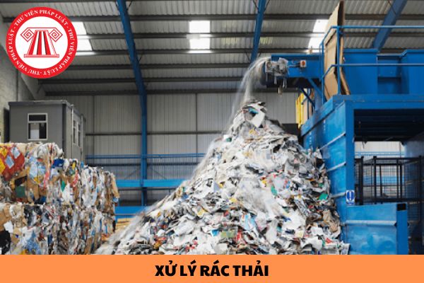 Hướng dẫn phân loại và xử lý rác thải hiệu quả?