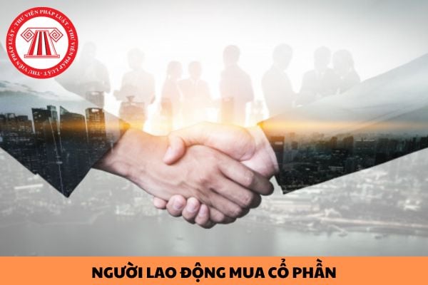 Người lao động làm việc trong đơn vị sự nghiệp công lập được mua tối đa bao nhiêu cổ phần khi đơn vị sự nghiệp công lập chuyển đổi thành công ty cổ phần?