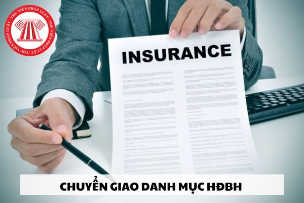 Việc chuyển giao danh mục hợp đồng bảo hiểm cần chuẩn bị những giấy tờ gì?