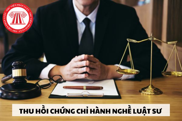 Trưởng văn phòng luật sư bị thu hồi Chứng chỉ hành nghề luật sư thì tổ chức hành nghề luật sư có bị chấm dứt hoạt động không?